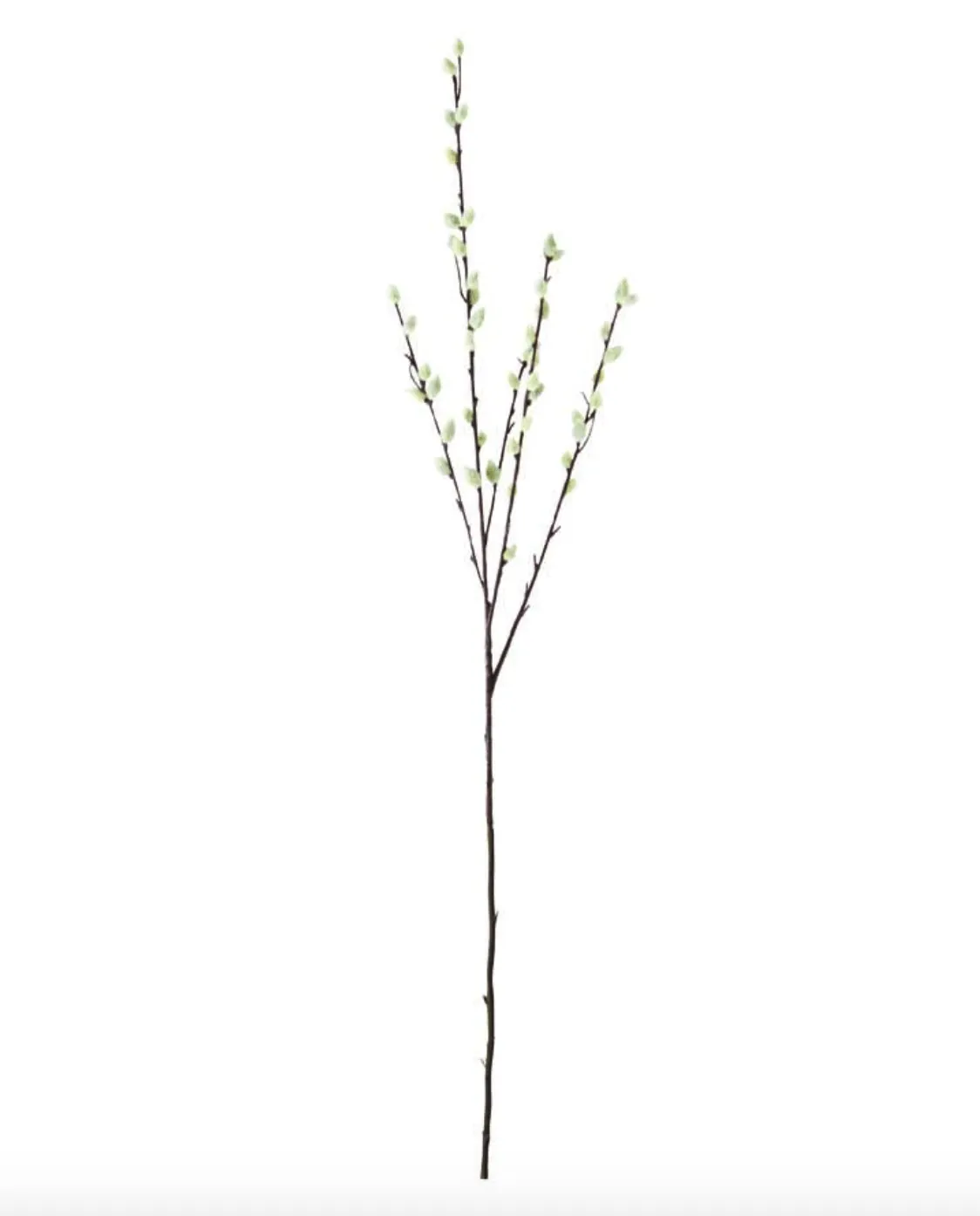 31" Pussy Willow Stem Flower