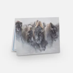 Bison Notecard Pack