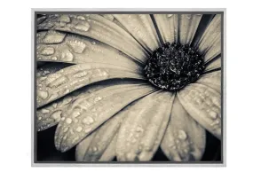 Black and White Daisy | Floral Canvas Wall Art Print