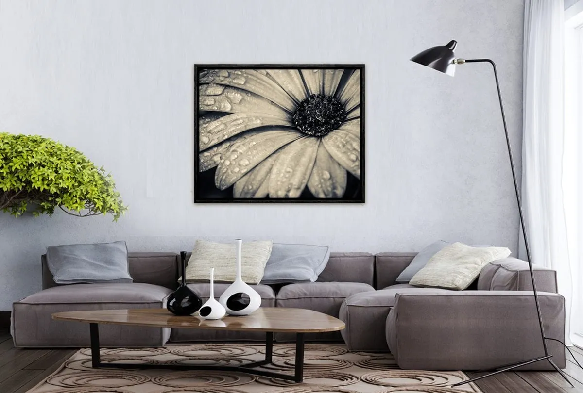 Black and White Daisy | Floral Canvas Wall Art Print