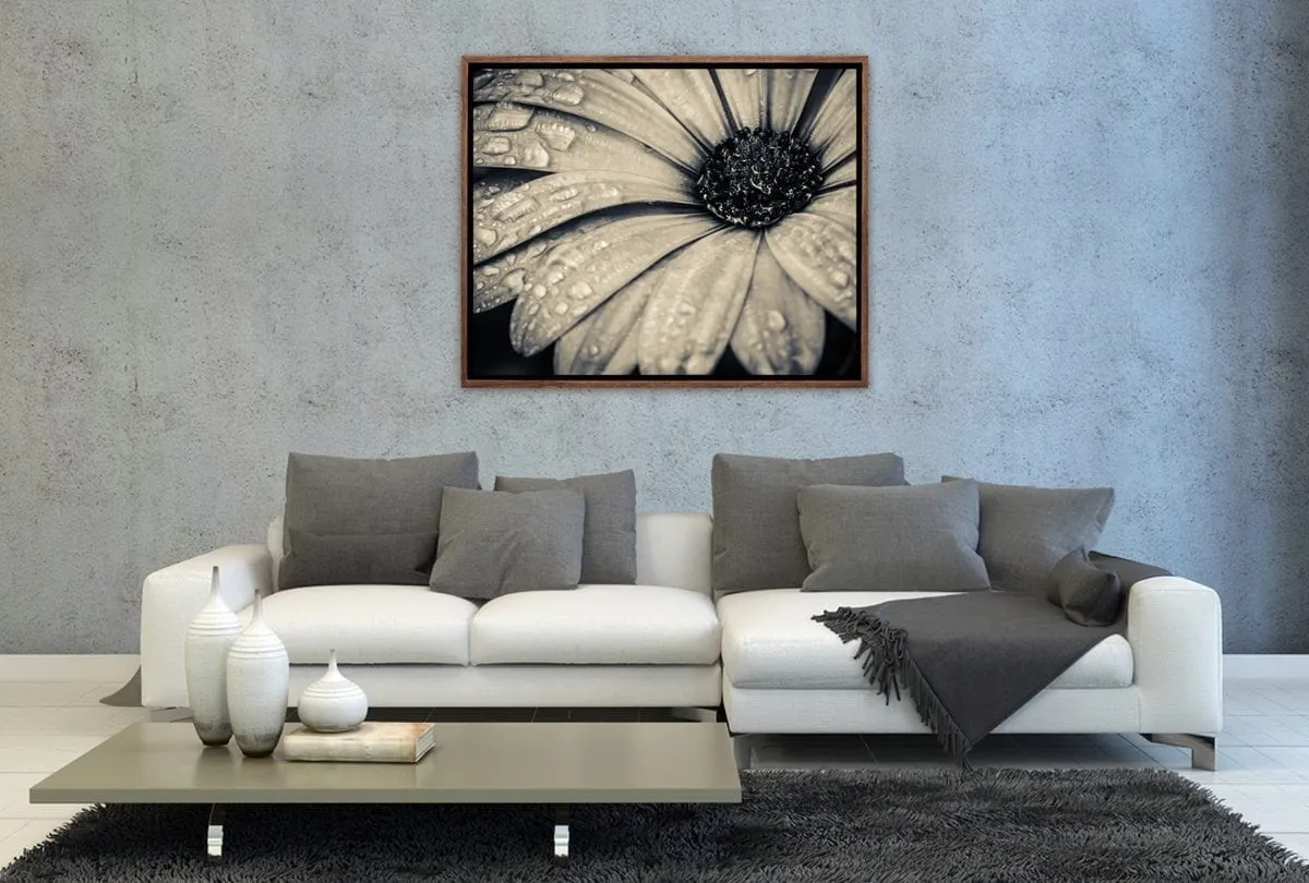 Black and White Daisy | Floral Canvas Wall Art Print