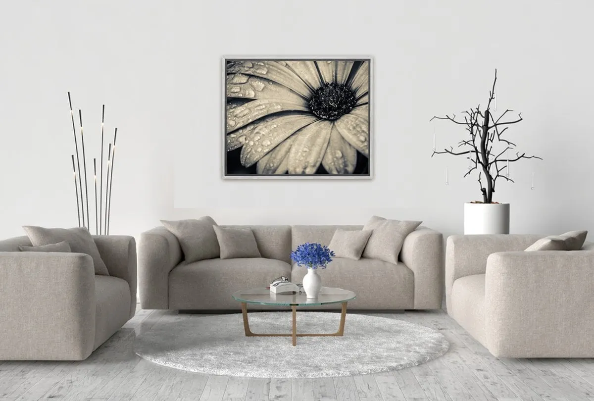 Black and White Daisy | Floral Canvas Wall Art Print