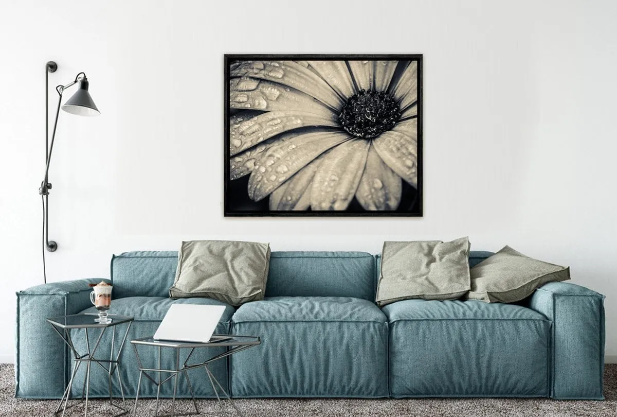 Black and White Daisy | Floral Canvas Wall Art Print