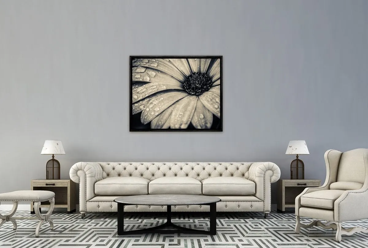 Black and White Daisy | Floral Canvas Wall Art Print