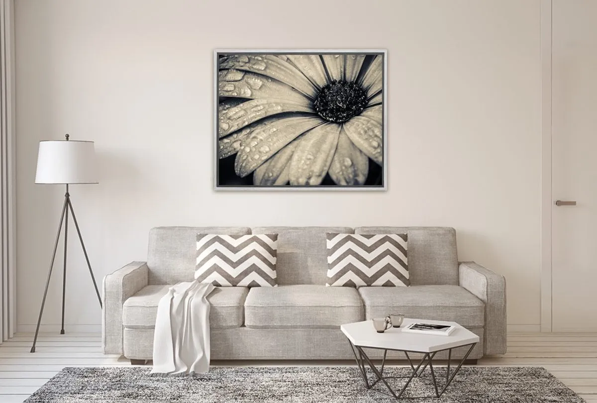 Black and White Daisy | Floral Canvas Wall Art Print