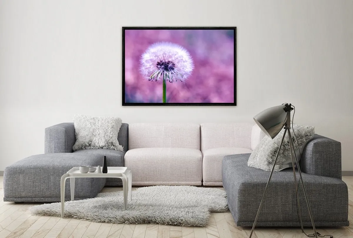 Dandelion 2 | Canvas Art Print