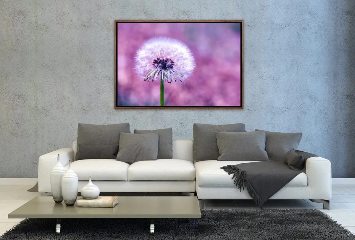 Dandelion 2 | Canvas Art Print