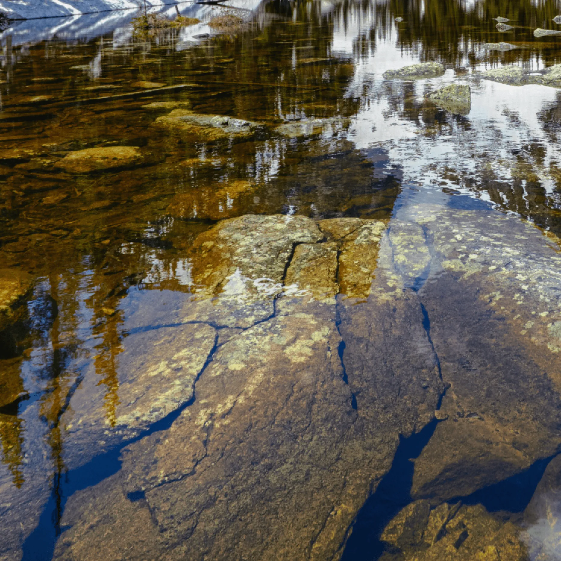 Dream Lake Rocky Mountain Canvas Wall Art